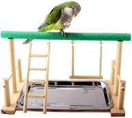 🐦 wooden parrot playstand - bird play stand with perch, ladder, swing toys, and tray - exercise play gym for cockatiels (mrli pet) логотип