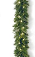 9-foot pre-lit artificial christmas garland by national tree company - green winchester pine with white plug-in lights - christmas collection logo