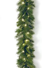 img 4 attached to 9-Foot Pre-Lit Artificial Christmas Garland by National Tree Company - Green Winchester Pine with White Plug-In Lights - Christmas Collection