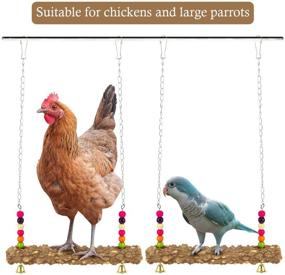 img 1 attached to 🐔 MEWTOGO 2 Pack Colorful Wooden Chicken Swing Toys - Handmade Chicken Coop Accessories for Chicken, Hens, Medium & Large Bird, Parrot Training - Vibrant Stand Perch Toy for Optimal Bird Swing Experience