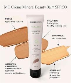 img 3 attached to 🌞 MDSolarSciences MD Crème Mineral Beauty Balm SPF 50: Oil-Free Tinted Matte BB Cream for Skin Perfection & Broad Spectrum UV Protection (1.23 Oz)