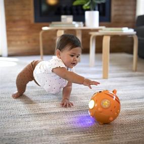 img 3 attached to Музыкальная игрушка Baby Einstein Tinker's Crawl Along Songs для качания с подсветкой, подходит для детей от 6 месяцев и старше.