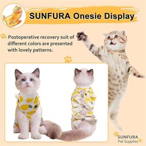 img 3 attached to SUNFURA Professional Breathable Abdominal Alternative