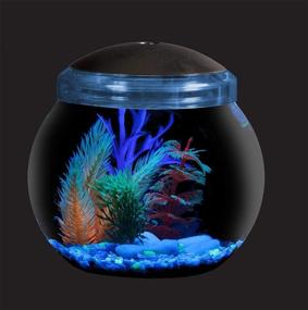 img 1 attached to Koller Products 1-Gallon Fish Bowl 🐠 with LED Lights (Available in Various Colors)