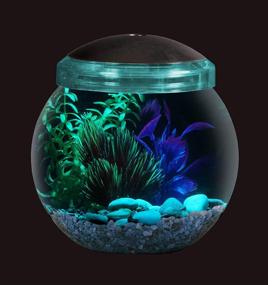 img 2 attached to Koller Products 1-Gallon Fish Bowl 🐠 with LED Lights (Available in Various Colors)