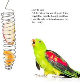 img 3 attached to 🦜 Stainless Steel Parrot Food Basket: Ideal Toy for Foraging & Healthy Snacking in Parakeets, Cockatiels, Conures, African Greys, Cockatoos, Macaws, Amazon, Lovebirds, Finches