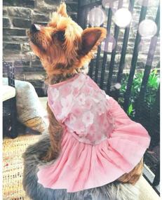 img 3 attached to Petea Costumes Princess Birthday Apparel Dogs and Apparel & Accessories