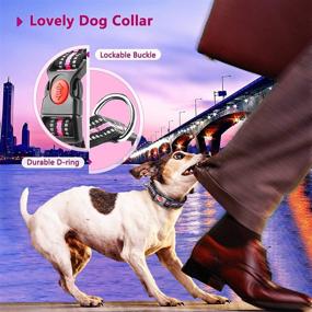 img 3 attached to 🐶 Carooyac Pink Reflective Dog Collar with Quick Release Buckle for Small, Medium, Large Dogs (L, Neck Fit - 15"-23")