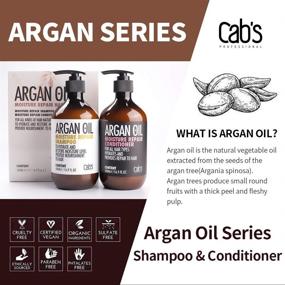 img 3 attached to Cab's Argan Oil Moisture Repair Shampoo and Conditioner Set - Sulfate Free, Ideal for Damaged, Dry, Curly, or Frizzy Hair, Compatible with All Hair Types, Color and Keratin Safe