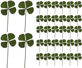 img 4 attached to 🍀 36 Pieces Genuine Natural Pressed Dried Four-Leaf Clover Leaf Plant Flowers for Resin Jewelry Crafting and Art