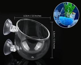 img 3 attached to 🌱 DS. Distinctive Style Crystal Glass Aquatic Plant Cups - Set of 2 with Suction Cups for Stunning Aquarium Decoration
