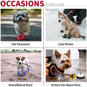 img 2 attached to 🐾 Hoolava Dog Shoes: Winter Boots for Small Medium Dogs and Puppies - Paw Protector with Reflective Straps, Non-Slip Dog Booties (4PCs)