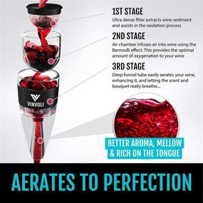 img 1 attached to 🍷 VINVOLI Wine Aerator - Premium Red Wine Aerator Decanter with Exclusive Triple-Stage Aeration, Pourer, Wine Sediment Filter - Exceptional Quality and Convenience for Wine Enthusiasts, Waitstaff, and Sommeliers