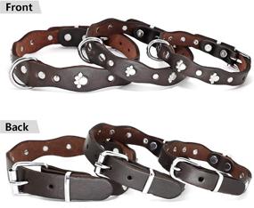 img 2 attached to Premium Handmade Genuine Leather Dog Collar - Stylish Luxury for Small/Medium Dog Breeds