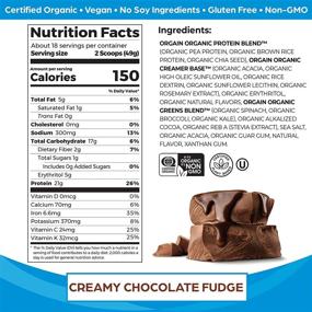 img 3 attached to 🌱 Orgain Organic Protein & Greens Plant Based Protein Powder, Creamy Chocolate Fudge - 21g Protein, Vegan, Gluten Free, Non-GMO, 1.94 Lb, 1 Count (Packaging May Vary)