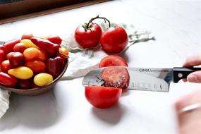 img 3 attached to 🔪 Набор ножей Ginsu KIS-KB-DS-014-2 Kiso Dishwasher Safe Black из 14 предметов: универсальное дополнение к вашему кулинарному арсеналу