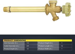 img 2 attached to 🚰 Homewerks VFF-ASP-C19PA Anti-Siphon Frost Free Sillcock, 1/2-Inch Male Thread or Solder, 12-Inch Length: Get Ultimate Protection for Your Outdoor Faucet!