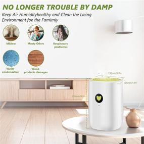 img 3 attached to KanYool Portable Mini Dehumidifier for Home with Hose Drain - 27OZ / 800ml Quiet 🏠 Upgraded Small Dehumidifiers for Bedroom Bathroom Basement Kitchen Closet RV and Office with Auto Shut Off