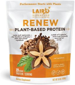 img 4 attached to 🌱 Laird Superfood Renew Plant-Based Protein Powder: 19g Protein, Vegan w/ Sasha Inchi Seed Protein, Mushrooms, No Preservatives, Gluten-Free, Dairy-Free - 16 oz. Bag