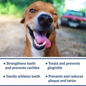 img 1 attached to Dental Fresh Advanced Whitening Water Additive for 🦷 Dogs – Enhancing Canine Dental Health and Brightening Smiles