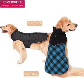 img 3 attached to 🐶 Ultimate Dog Sweater Winter Coat: Обратимая водонепроницаемая и ветрозащитная плащ-пальто в британском стиле в клетку – Сохраните вашего питомца теплым и стильным на протяжении всей зимы!