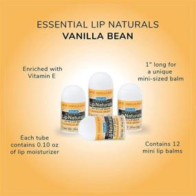 img 1 attached to Protect Your Lips with Essential Lip Naturals Mini Lip Balms - 12 Count [SPF-15] Vanilla Bean Flavor