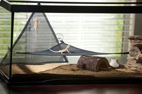 img 3 attached to 🦎 GenRev 2pc Reptile Hammock Lounger Accessories Set: Ideal for Bearded Dragons, Anoles, Geckos, Lizards, or Snakes - Large & Small - Includes 19x13x13in Hammock and Water/Food Dish