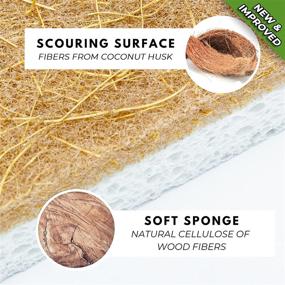 img 2 attached to 🌿 12-Pack Natural Kitchen Sponges - Eco-Friendly Scrub Pads for Dishes - Non-Scratch, Odor-Free, Biodegradable Plant-Based Cleaning Accessories