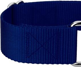 img 1 attached to 🐶 Enhance Your Pet's Style with Vibrant 15 Colors - 1 1/2 Inch Martingale Heavyduty Nylon Dog Collar by Country Brook Petz