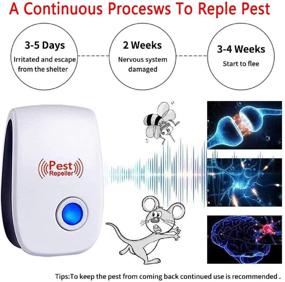 img 2 attached to 🐜 2021 Upgraded Ultrasonic Pest Repeller 6 Packs - Plug in Indoor Pest Repellent for Mosquito, Insects, Cockroaches, Mouse, Rats, Bug, Spider, Ant - Safe for Humans and Pets