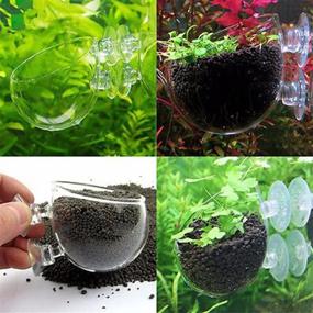 img 3 attached to 2 Pack Mini Crystal Glass Aquarium Tank Plant Cup Pot Holder with Suction Cups for Fish Tank Aquarium Decor