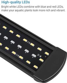 img 3 attached to NICREW Clip on Aquarium Light: Multi-LED Fish Tank Lighting with 2 Modes - White, Blue, and Red LEDs for Nano Tanks