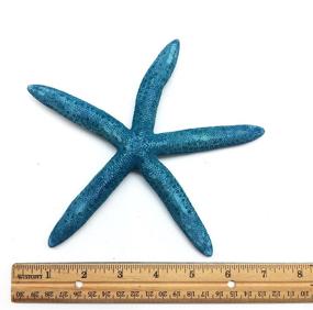 img 2 attached to PEPPERLONELY Natural Finger Pencil Starfish Fish & Aquatic Pets for Aquarium Decor