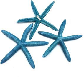 img 3 attached to PEPPERLONELY Natural Finger Pencil Starfish Fish & Aquatic Pets for Aquarium Decor