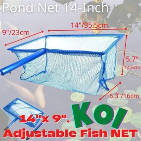 img 2 attached to Adjustable Fish 30 54Cm Aluminum Fishing Aquarium