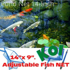 img 3 attached to Adjustable Fish 30 54Cm Aluminum Fishing Aquarium