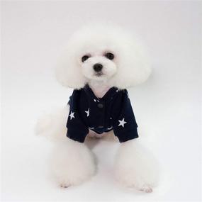 img 2 attached to SMALLLEE_LUCKY_STORE Sweatshirt Sweater Crewneck Chihuahua