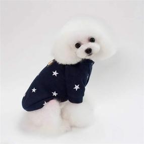 img 1 attached to SMALLLEE_LUCKY_STORE Sweatshirt Sweater Crewneck Chihuahua