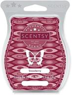 ❄️ snowberry scentsy bar - elevate your scented experience with our premium fragrance логотип