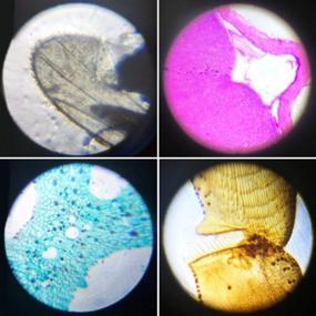 img 1 attached to 🔬 48PCS Kids Plastic Prepared Slides for Microscope - Animals, Insects, Plants, Flowers - Sample Specimens for Basic Biological Science Education