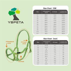 img 3 attached to 🐄 YBPETA Rope Halter: Metal-Free Handmade Design for Effective Cattle and Horse Training