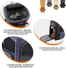 img 3 attached to 🐾 morpilot Foldable Pet Backpack Carrier - Ventilated Design for Small Cats and Dogs - Travel, Hiking, Camping - Safety Strap - Cat and Dog Carrying Bag