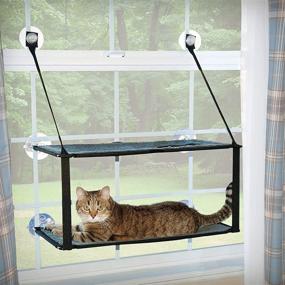 img 4 attached to K&amp;H Pet Products EZ Window Mount Kitty Sill - Single to Quad Level