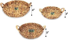 img 2 attached to 🧺 Round Hyacinth Baskets with Handles - Trademark Innovations Set of 3