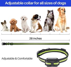 img 1 attached to Premium Dog Training Collar: Remote Control, 2600ft Range, 3 Modes - Beep, Vibration, Shock, IPX7 Waterproof, LED Light, USB Charging - For Small Medium Large Dogs