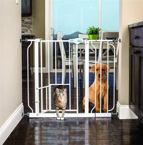 img 4 attached to 🚪 Carlson Extra Wide Walk Through Pet Gate: Small Pet Door, Extension Kit, Pressure/Wall Mount Kits