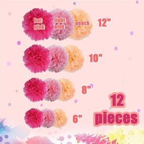 img 2 attached to 🎀 Set of 12 Paper Pom Poms, Tissue Paper Flowers in Pink Mix for Birthday, Wedding, Bachelorette, Baby Shower, Girl Nursery Decorations