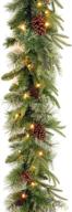 🎄 national tree company pre-lit 'feel real' artificial christmas garland with pine cones, 9ft, green logo