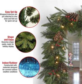 img 1 attached to 🎄 National Tree Company Pre-Lit 'Feel Real' Artificial Christmas Garland with Pine Cones, 9ft, Green