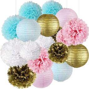 img 3 attached to Gender Reveal Supplies Decorations Lanterns Party Decorations & Supplies for Tissue Pom Poms